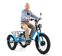 Tricycle Cargo électrique EcoRide pour Adultes à Gros pneus