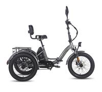 Tricycle cargo électrique Fafrees F20 Mate, batterie amovible 48 V 23,45 Ah, pliable, gris