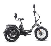 Tricycle cargo électrique Fafrees F20 Mate, pliable, 25 km/h, gris Gris