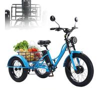 Tricycle Cargo électrique générique, capacité de Charge de 200 kg, pour Adultes.