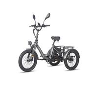 Tricycle cargo électrique pliable Fafrees F20 Mate, 48 V 21 Ah, gris
