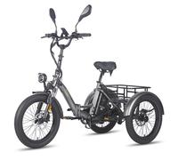 Tricycle cargo électrique pliable Fafrees F20 Mate, 48 V 21 Ah, gris