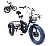 Tricycle Cargo électrique Pliable générique, Charge de 150 kg, idéal pour Les Courses