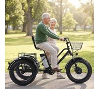 Tricycle Cargo électrique pour Adulte, Charge utile de 200 kg, véhicule de Livraison