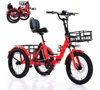 Tricycle Cargo électrique pour Adultes à Gros pneus, 20 Pouces, avec pédales électriques, idéal pour Faire Les Courses.