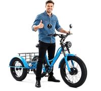 Tricycle Cargo électrique pour Adultes, pneus Larges, Usage intensif Quotidien