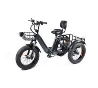 Tricycle cargo électrique PULUMA SL001 à double moteur, double batterie 48 V 27 Ah, 7 vitesses et freins hydrauliques