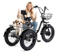 Tricycle Cargo électrique Utilitaire pour Adultes, Roues de 20 Pouces, pour Seniors