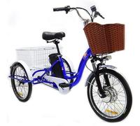 Tricycle électrique 20 pouces pour adultes (7 vitesses), tricycle à pédales pour personnes âgées, véhicule cargo électrique, 3 modes de conduite, klaxon et phare LED, pour les déplacements quotidien