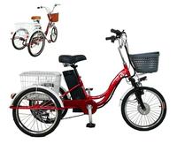 Tricycle électrique 20 pouces pour personnes âgées, vélo à 3 roues (3 vitesses), batterie lithium 48 V 12 Ah, double panier avant/arrière, double système de freinage, pour faire les courses et march