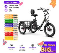 Tricycle électrique de transport ONESPORT OT30 Pro, batterie 48V 18Ah, pneus 20*3.0 pouces, vitesse maximale 25 km/h, autonomie 90 km, freins à disque hydrauliques, fourche avant amortissante, charge 
