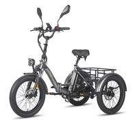 Tricycle Électrique - FAFREES - F20 MATE - 500W (750W crête) - Homologué EU L2e-P - Autonomie 115km