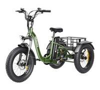 Tricycle électrique Hidoes HD-ET1 avec porte-bagages arrière moteur 750 W batterie 48 V 20 Ah pneus 20 x 4 pouces vitesse maximale 40 km/h Vert G