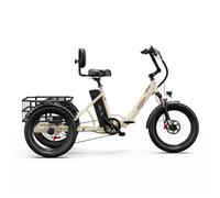 Tricycle Électrique ONESPORT OT30 PRO - Moteur 500W Batterie 48V18AH Pneus De 20 Pouces Freins à Disque - Beige