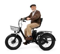 Tricycle électrique Pliable générique pour Adultes, Usage Quotidien