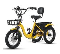 Tricycle électrique Pliable pour Adultes, à Assistance électrique, idéal pour Faire Les Courses et Monter Les escaliers.