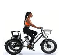 Tricycle électrique pour adultes, moteur 500 W (max 1350 W), pliable, batterie 48 V 12 Ah, 3 roues, pneus larges