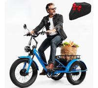 Tricycle Electrique Senior 24 Pouces Velo Cargo 3 Roues pour Adultes Blue | Charge 200kg Puissant Senior E-Trike avec Panier Phare Siege Reglable Velo Cargo pour Montagne Ville