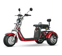 Tricycle électrique SHANSU - EEC/COC - Moteur 2000W Batterie 20AH*2 - Autonomie 60-80KM - Vitesse max 40 km/h - Penu 10 Pouces Rouge