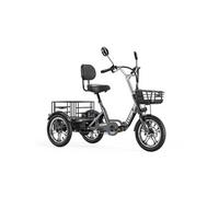 Tricycle électrique T1 Pro, 16 po, Max 25 km/h, gris