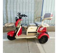 Tricycle motorisé à 3 roues pour moto, Cargo City, Tricycle électrique à 3 roues avec toit ouvert