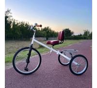 Tricycle Pliant D'extérieur - Vélo d'exercice Rétro Léger for Adultes, Idéal for Les Balades Tranquilles Et Les Courses(Type 2)