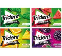 Trident Senses Mélange de chewing-gum | Sans sucre | Saveur Pastèque Sunrise | Saveur mélange tropical | Saveur Menthe Forêt Tropicale | Saveur de fête aux baies | 12 paquets (12 x 12 dragées) | 276 g