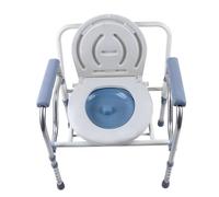 TRIEBAN Chaise percée - Chaise de nuit - Réglable en hauteur - Pliable - Avec pieds en caoutchouc antidérapants - Aide aux toilettes pour seniors - Avec accoudoir, dossier et toilettes - 150 kg