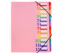 Trieur A4 Extensible - Trieur Document 12 Compartiments Colorés avec Indexation Numérique en Plastique Organisateur de Document pour L'école de Bureau à Domicile (Rose)