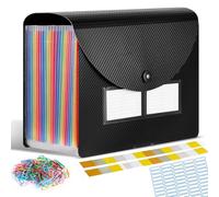 Trieur Document A4, Classeur Trieur 24 Compartiments, Rangement Papier Administratif, Extensible Range Document Bureau, Organiseur de Dossiers Accordéon avec Couvercle (Noir)