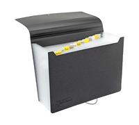 Rapesco Trieur extensible 12 divisions – 33 x 24 cm