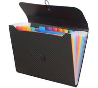 Trieur Extensible 13 Compartiments A4,Organiseur de Dossiers Accordéon,Extensible Pochettes pour Documents pour DOSSIER SUSPENDU