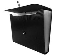 Trieur extensible 13 poches avec étiquettes - Organiseur accordéon - Fermeture élastique - Format A4 pour la maison, l'école et le bureau