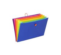 Trieur extensible 6 compartiments Viquel Happy Fluo