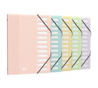 Trieur Standard School Life A4 Pastel - 12 positions OXFORD