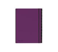 Trieur Pagna Office Trend A4 12 compartiments 12 positions 20 mm à onglets - Violet