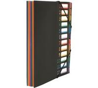 Trieur soufflet à 12 compartiments Viquel Rainbow Class Noir Noir G