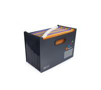 Trieur Valisette Extra Large 13 Compartiments - Rapesco 1552