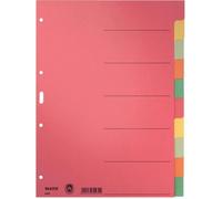 Trieurs - LEITZ - 43580000 - Carton rigide - Onglets inscriptibles - Couverture inscriptible