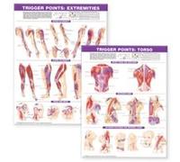Trigger Point Chart Set Torso Extremities Lam Anatomical Chart Company (Auteur)