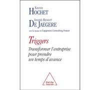 Triggers Xavier Hochet (Auteur), André-Benoit de Jaegere (Auteur)