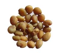 Trigonelle Bleu Bio - 0,20 grammes - Trigonella Caerulea - Blue Fenugrec - SEM06