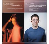 Trigram for Earth + 50 Frequency and Amplitude Modulated Sine Waves Describing a Landscape