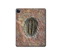 Trilobite Fossil Tablet Etui Coque Housse pour iPad Pro 12.9 (2021)
