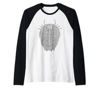 Trilobite Fossil Ventral View Scientific Paléontology Art Manche Raglan