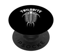 Trilobite fossile Ancien arthropode Vue Dorsale Paléontologie PopSockets PopGrip Adhésif