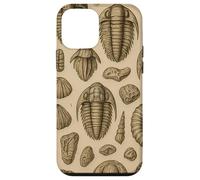 Trilobites Fossils and Rocks Pattern for Fossil Hunters Coque pour iPhone 12 Mini