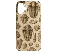 Trilobites Fossils and Rocks Pattern for Fossil Hunters Coque pour iPhone 16 Plus