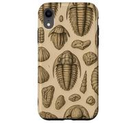 Trilobites Fossils and Rocks Pattern for Fossil Hunters Coque pour iPhone XR