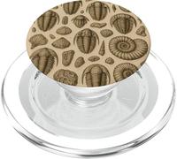 Trilobites Fossils and Rocks Pattern for Fossil Hunters PopSockets PopGrip pour MagSafe